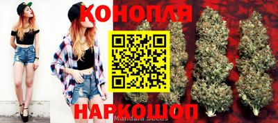 бошки Камышлов