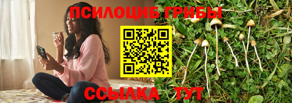 где продают   Псилоцибиновые грибы ЛСД  Вход с VPN  Юрга 